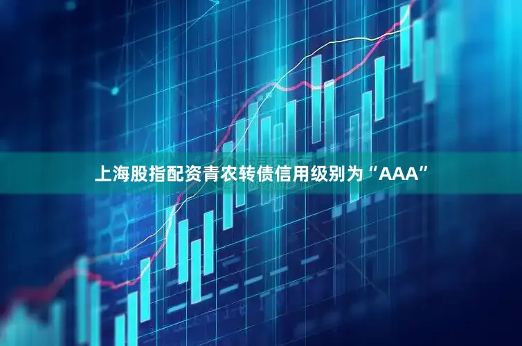 上海股指配资青农转债信用级别为“AAA”
