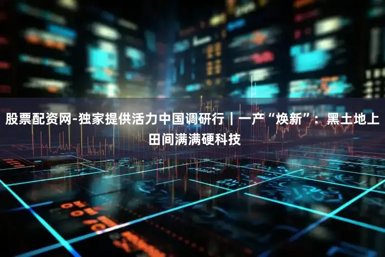 股票配资网-独家提供活力中国调研行｜一产“焕新”：黑土地上 田间满满硬科技